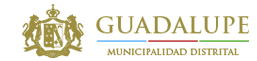 Municipalidad Distrital de Guadalupe